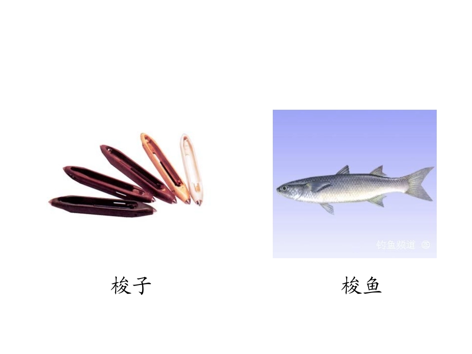 《天鹅大虾和梭鱼》张振华_第3页