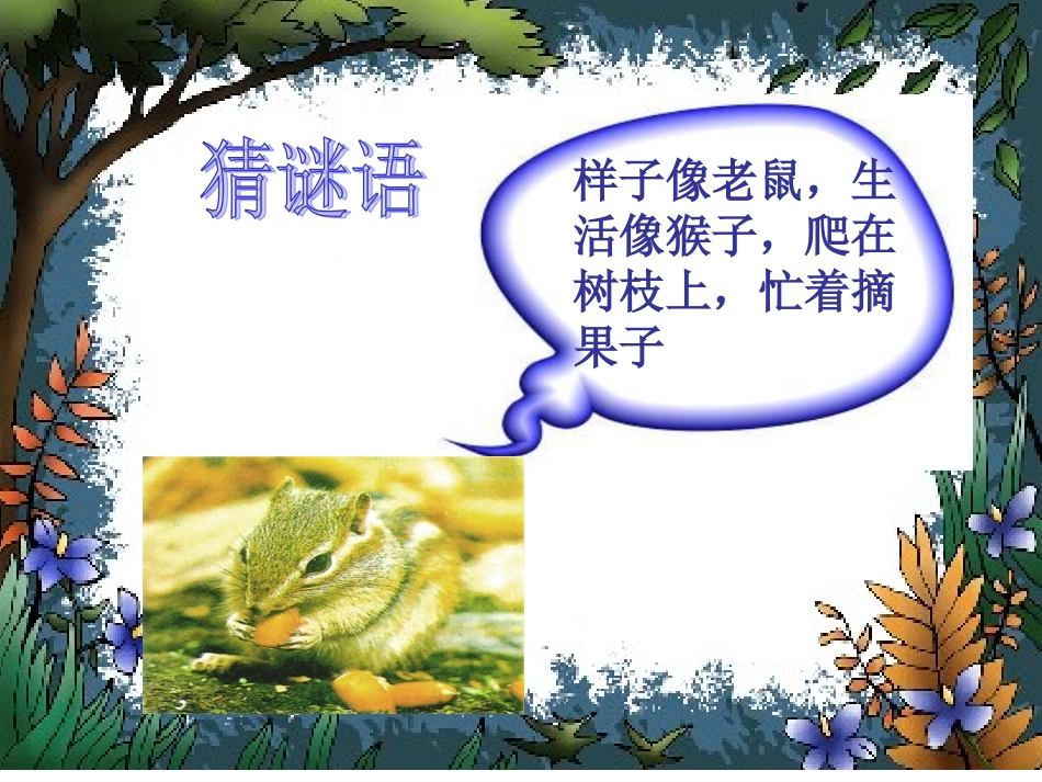 《小松鼠找花生果》课件_第1页