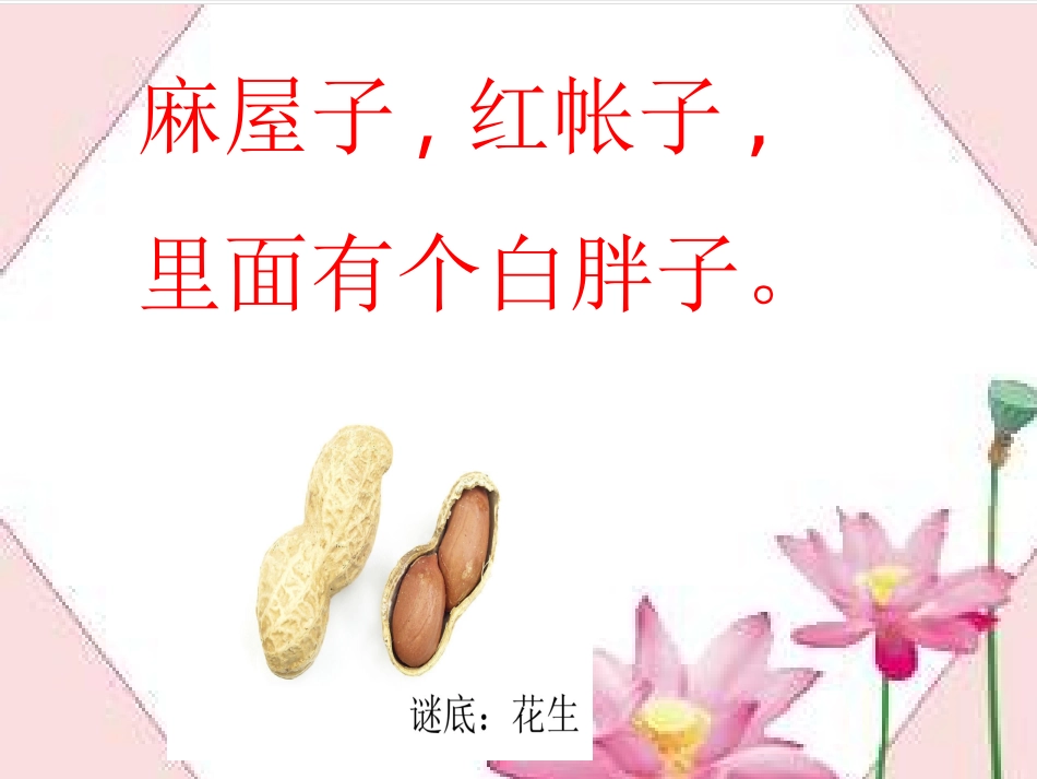《小松鼠找花生果》课件_第3页
