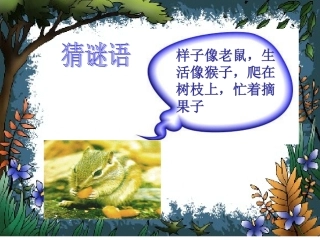 《小松鼠找花生果》课件