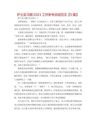 护士实习期2024工作参考总结范文【5篇】 