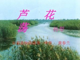 《芦花荡》教学课件