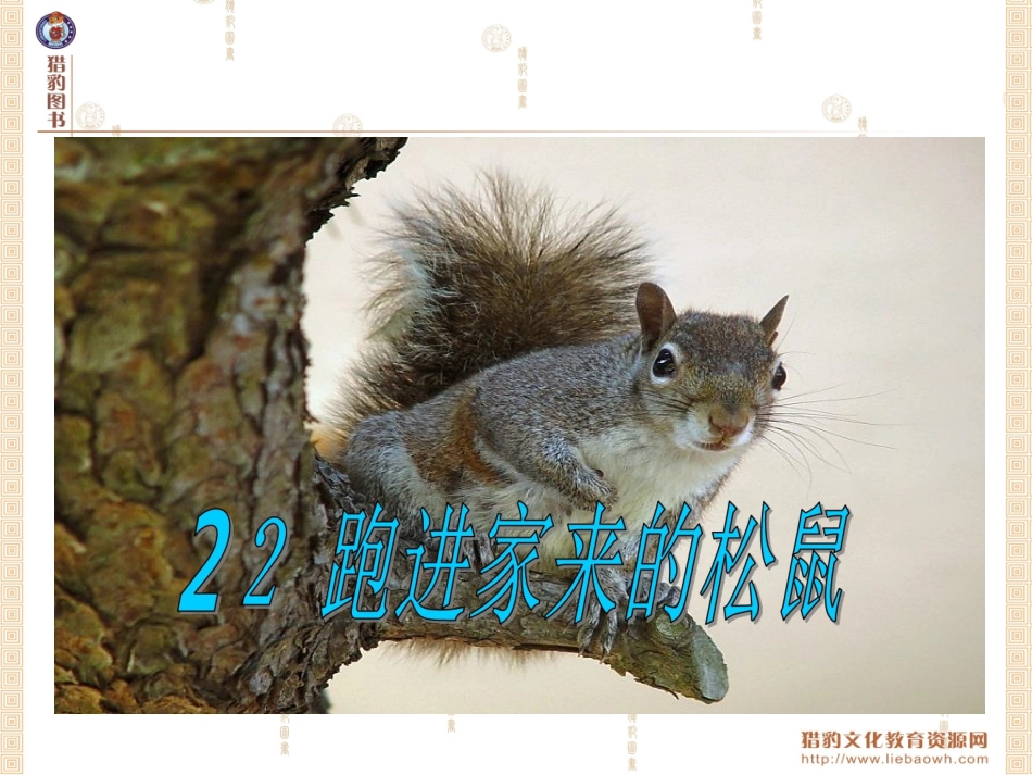 rjyw060122跑进家来的松鼠课件_第2页