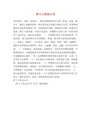 护士工作决心书 