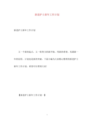 新进护士新年工作计划2)