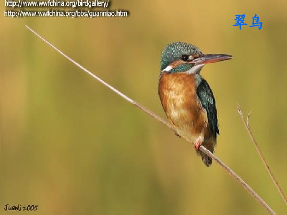 明天不封阳台2_第3页