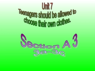 九年级英语unit7teenagersshouldbeallowedtochoosetheirownclothesSectionaA3a-3c (2)