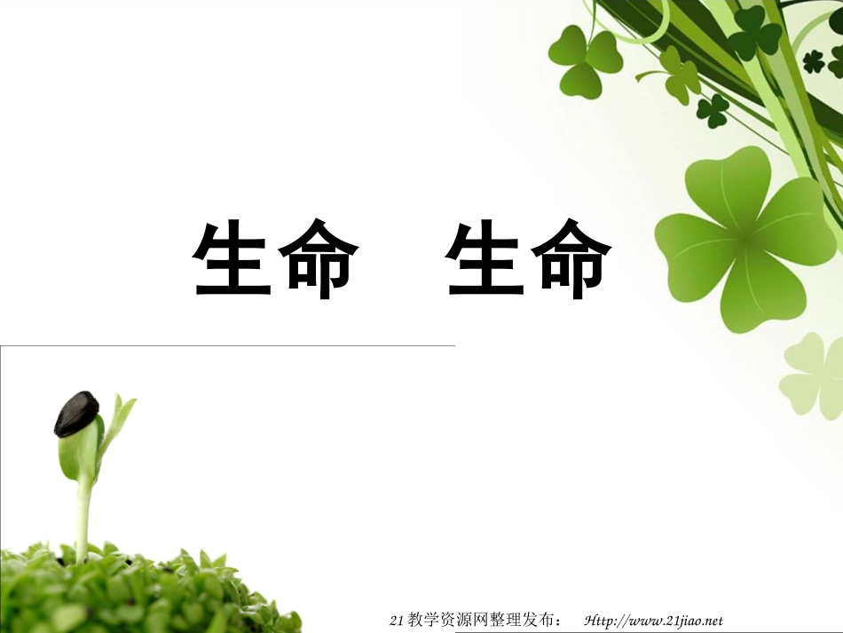 多媒体课件生命生命_第1页