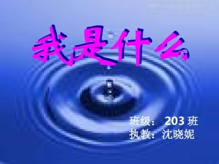 我是什么（3册）