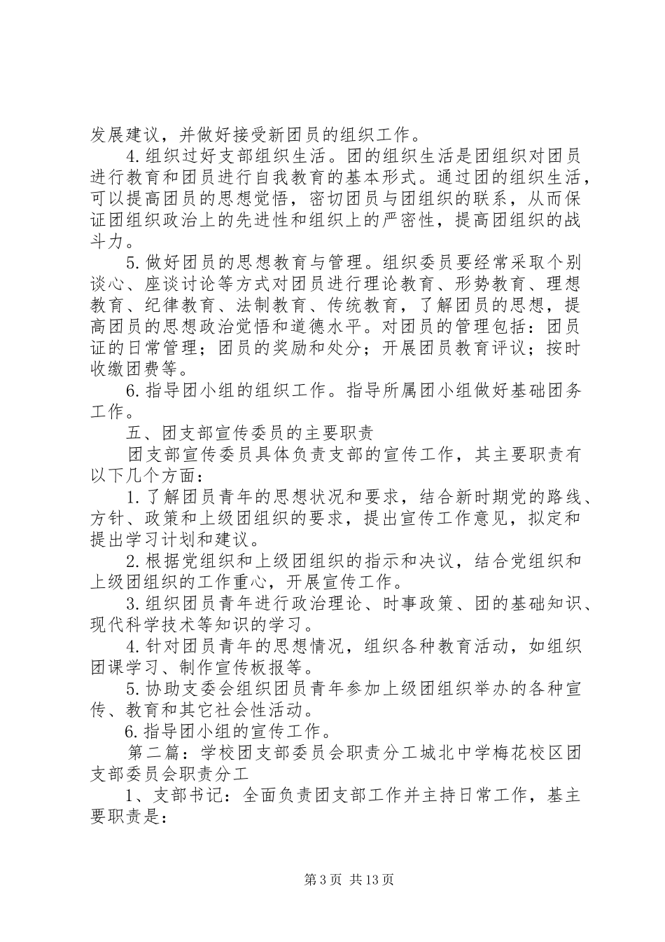 团支部委员会分工及职责_第3页