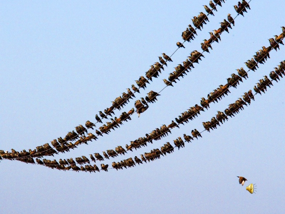 明天不封阳台 (3)_第1页