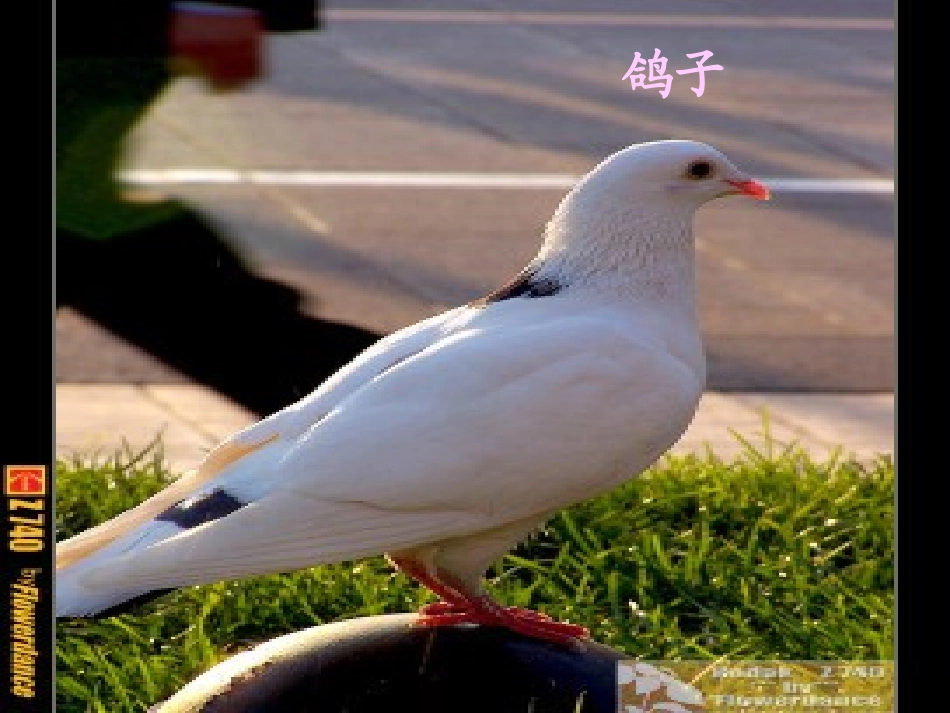 明天不封阳台 (3)_第3页