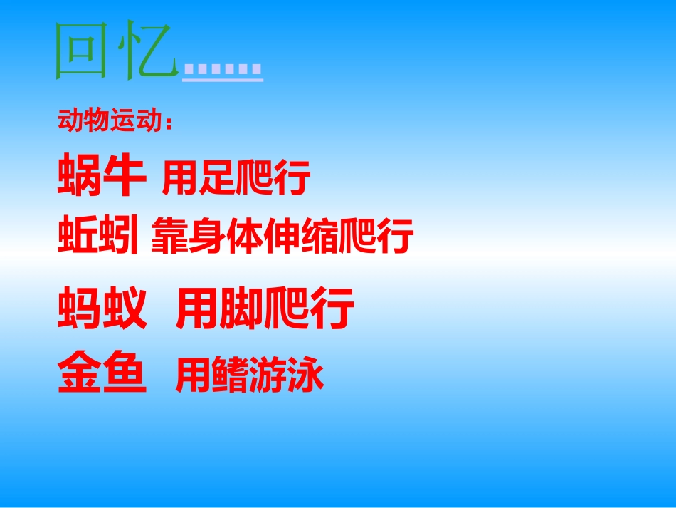 《动物有哪些共同特点》_第3页