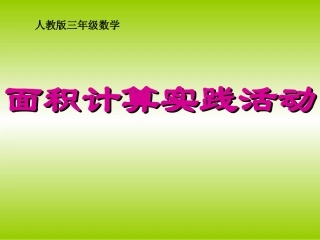 面积实践活动