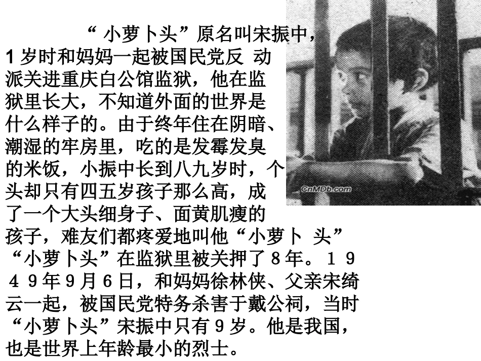 〈飞吧_你飞吧!〉教学课件_第2页