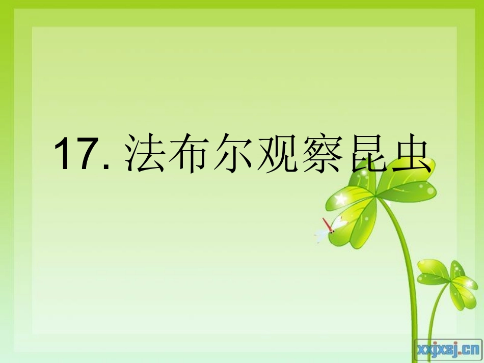 法布尔观察昆虫_第1页