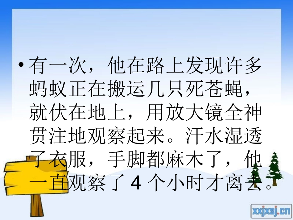 法布尔观察昆虫_第2页