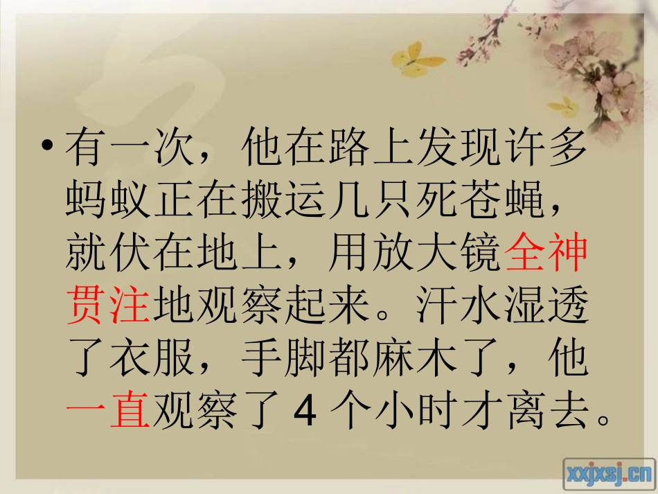 法布尔观察昆虫_第3页