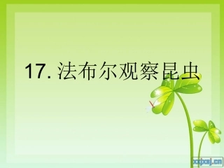 法布尔观察昆虫