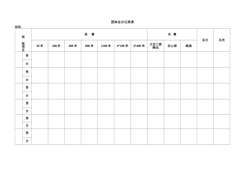 团体总分记录表_第1页