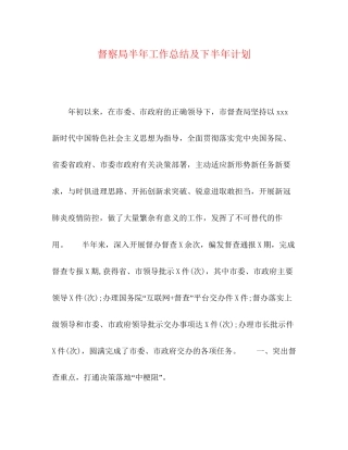 督察局半年工作总结及下半年计划