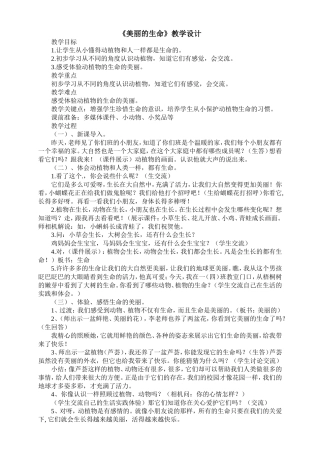 《美丽的生命》教学设计