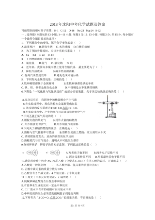 辽宁省沈阳市2013年中考化学试题(word版_含答案)