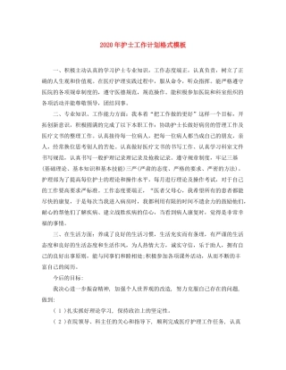2020年护士工作计划格式模板