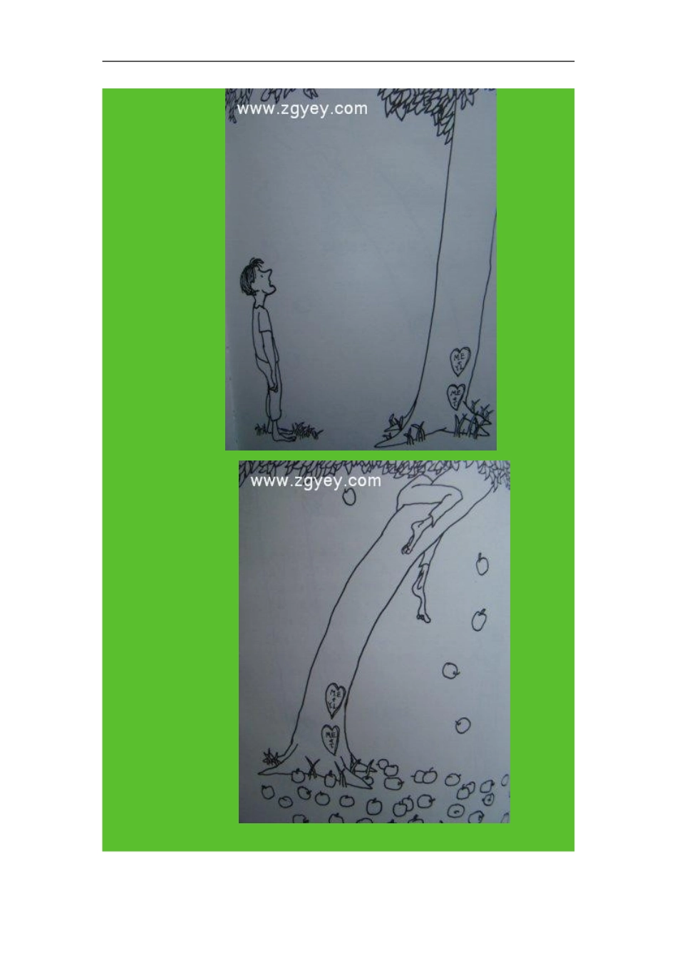 经典绘本《爱心树》_第3页