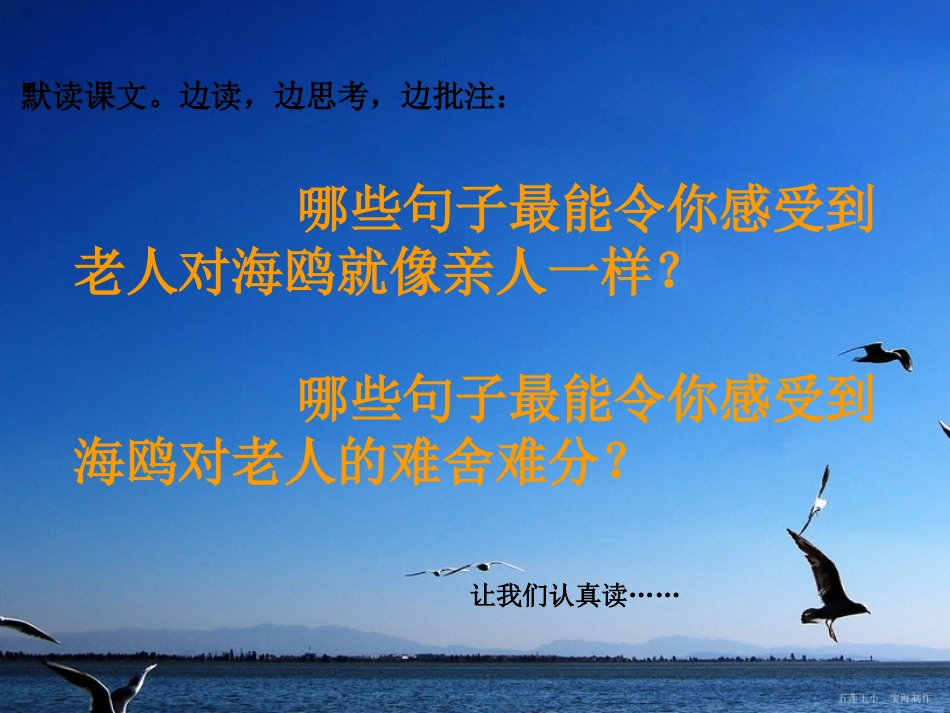 小学语文六年级上册21课《老人与海鸥》PPT[1] (2)_第3页