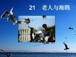 小学语文六年级上册21课《老人与海鸥》PPT[1] (2)