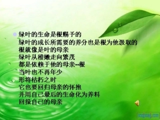 绿叶对根的情意