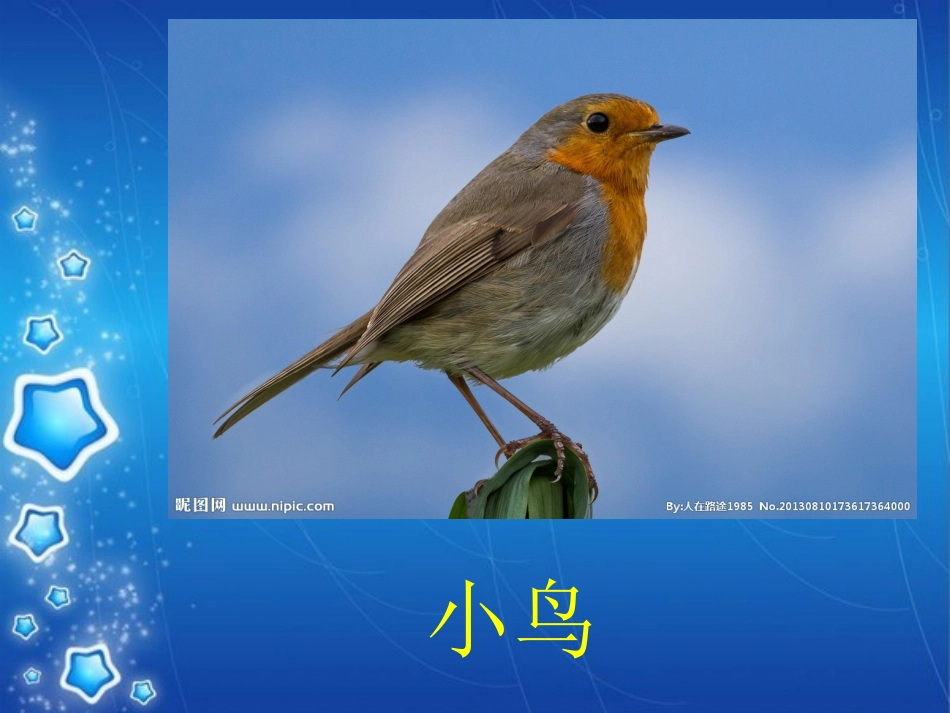 教案--动物的家_第2页