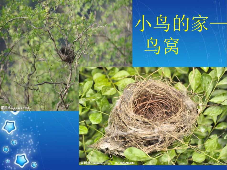 教案--动物的家_第3页