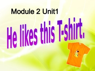 小学新标准英语一年级起点第三册module2unit1helikesthisT-shirt