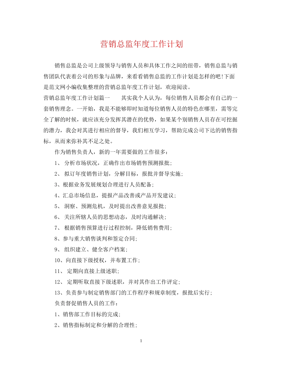 营销总监年度工作计划_第1页