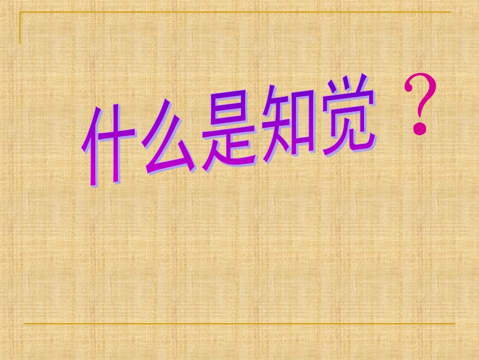 什么是知觉？_第2页