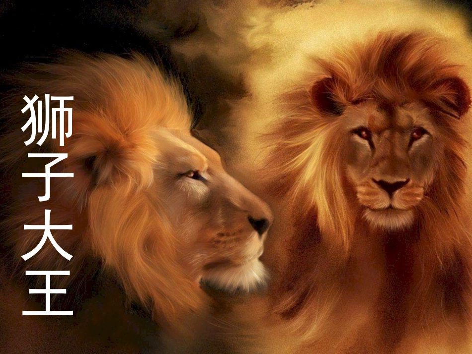 狮子大王课件_第1页