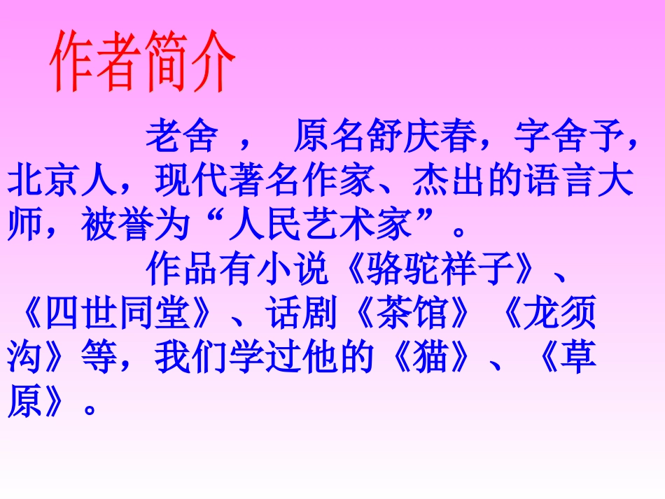 北京的春节 (3)_第3页