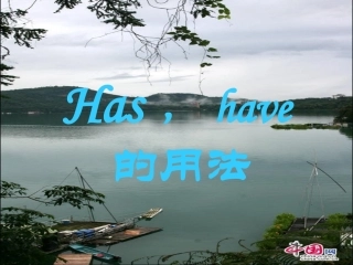 has和have的用法