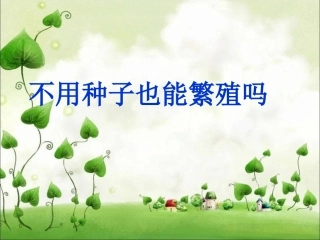 不用种子也能繁殖吗 (2)