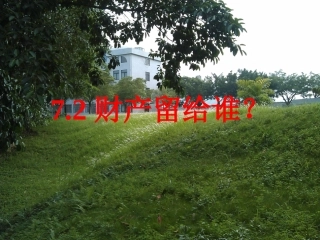 财产留给谁课件