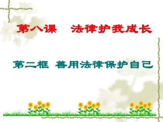 善用法律保护自己课件