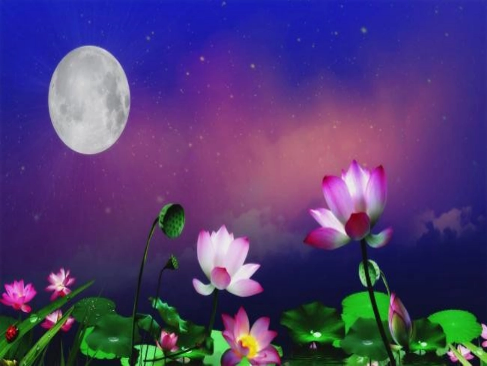 《乞巧》课件_第3页