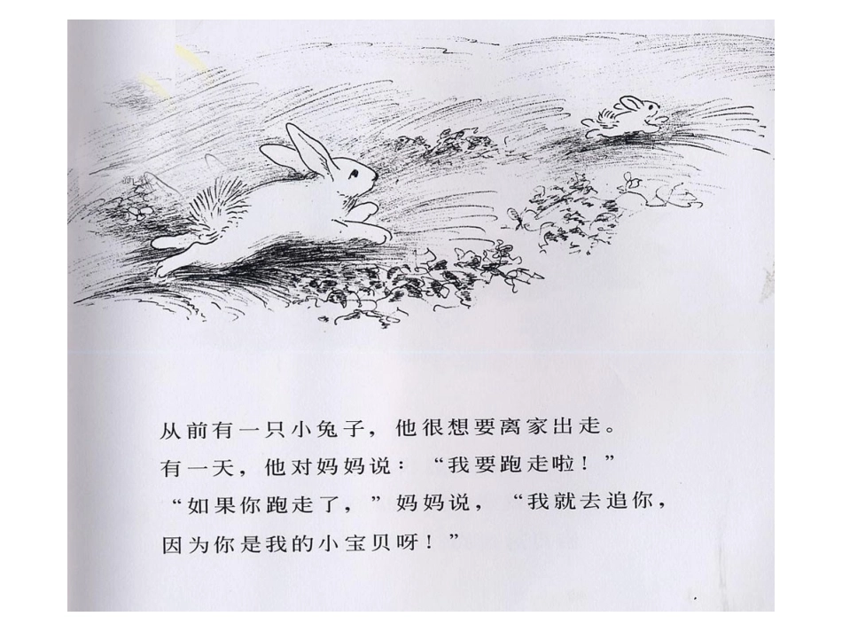 逃家小兔genggai_第2页