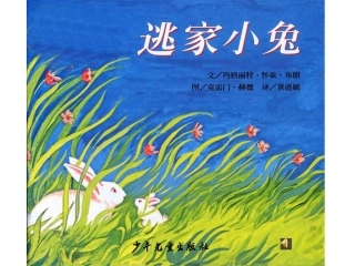 逃家小兔genggai