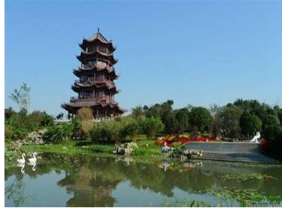 大自然的力量_第3页