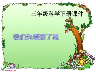 三年级科学下册课件_我们先看到了根