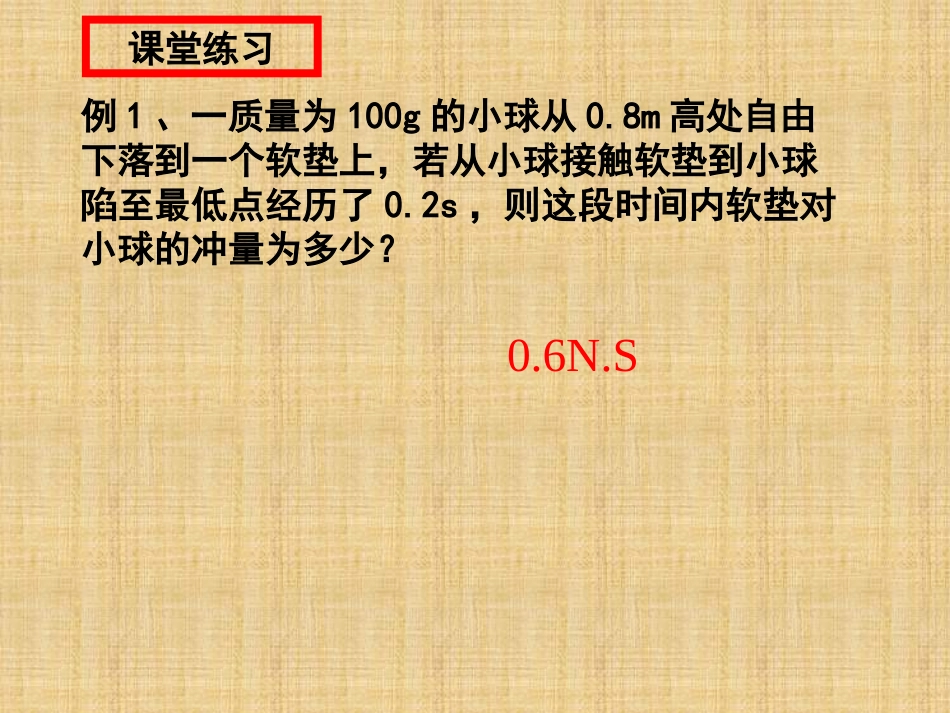 动量动量定理第三课时_第1页