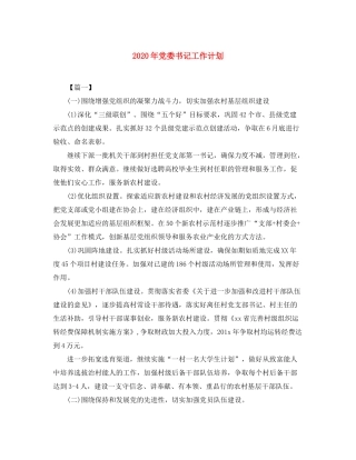 2020年党委书记工作计划